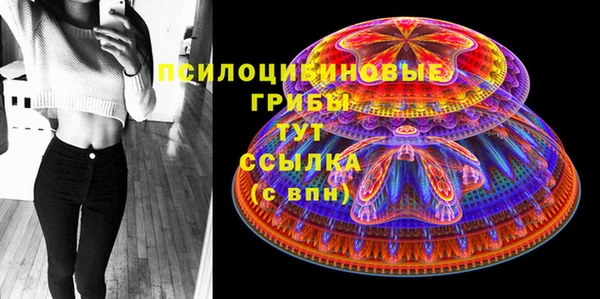 гидропоника Армянск