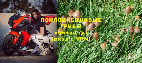 гидропоника Армянск