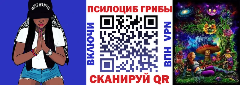 Галлюциногенные грибы Cubensis mega как войти Талдом